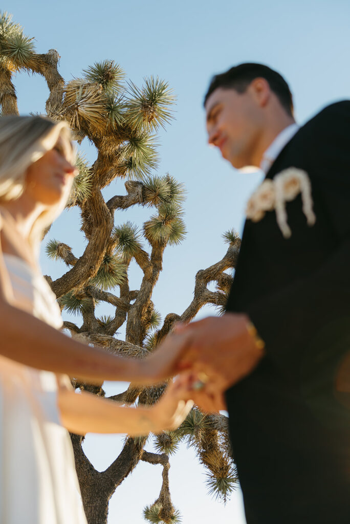 romantic elopement couple with a groovy joshua tree in the background