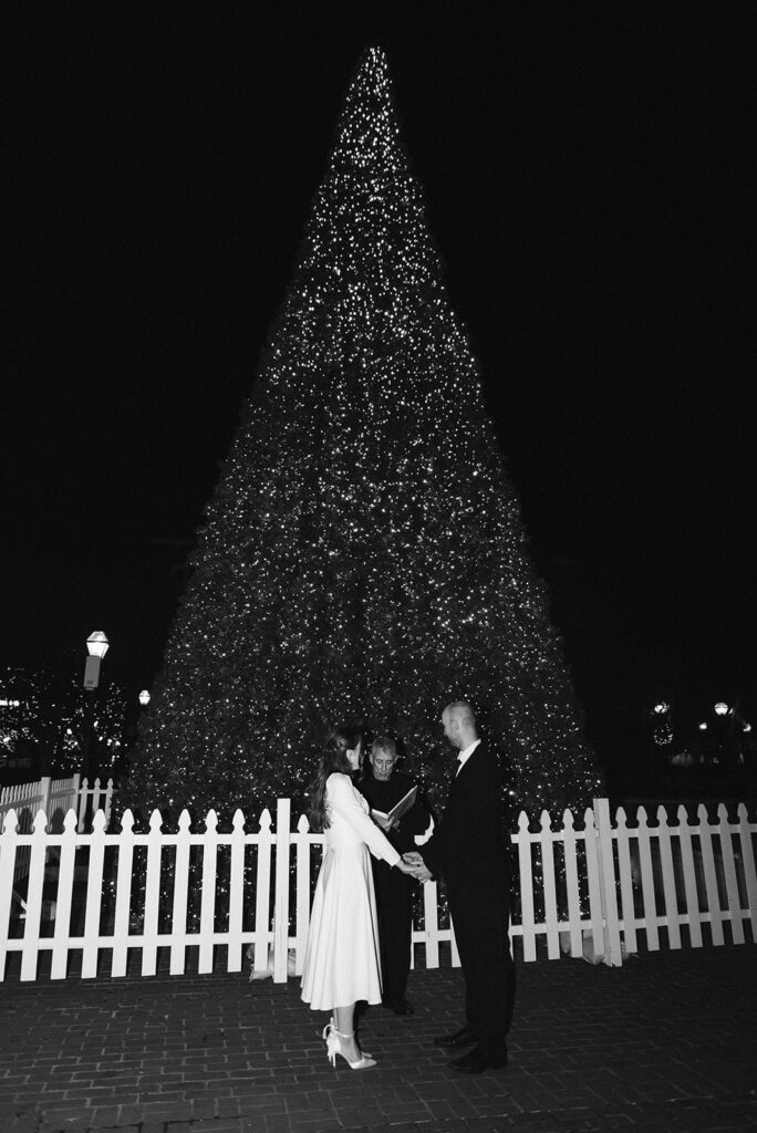 winter elopement ceremony at old town alexandria town square with christmas tree in the background