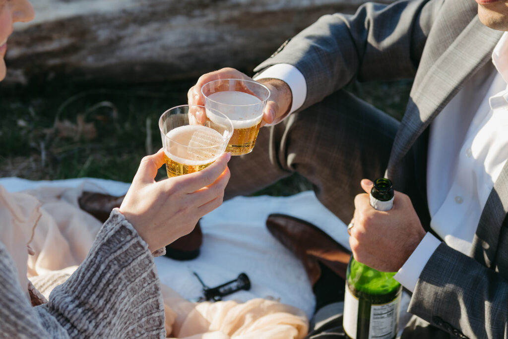 shenandoah national park elopement picnic